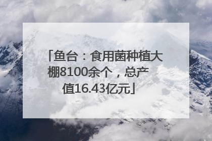 鱼台：食用菌种植大棚8100余个，总产值16.43亿元
