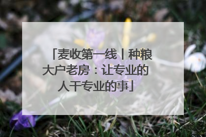 麦收第一线丨种粮大户老房：让专业的人干专业的事