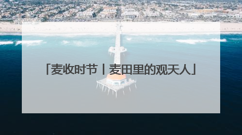 麦收时节丨麦田里的观天人
