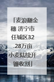 麦浪翻金穗 济宁市任城区32.28万亩小麦陆续开镰收割