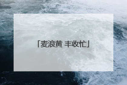 麦浪黄 丰收忙