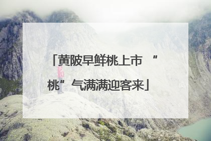 黄陂早鲜桃上市 “桃”气满满迎客来