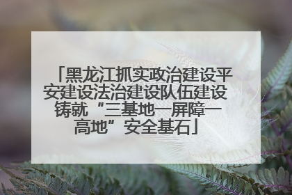黑龙江抓实政治建设平安建设法治建设队伍建设 铸就“三基地一屏障一高地”安全基石