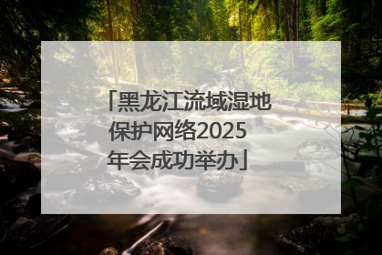 黑龙江流域湿地保护网络2025年会成功举办