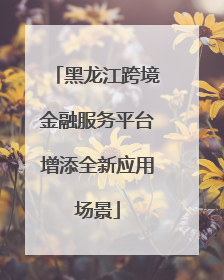 黑龙江跨境金融服务平台增添全新应用场景