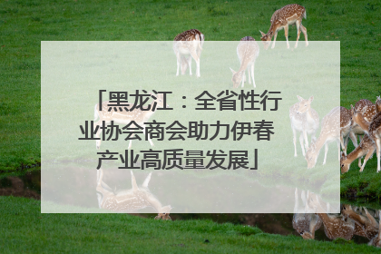 黑龙江：全省性行业协会商会助力伊春产业高质量发展