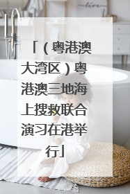 （粤港澳大湾区）粤港澳三地海上搜救联合演习在港举行