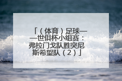 （体育）足球——世俱杯小组赛：弗拉门戈队胜突尼斯希望队（2）