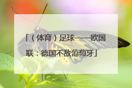 （体育）足球——欧国联：德国不敌葡萄牙