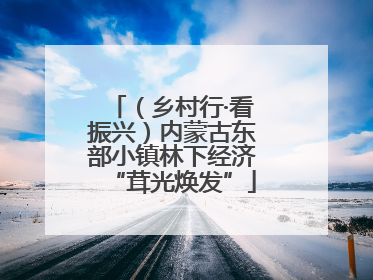 （乡村行·看振兴）内蒙古东部小镇林下经济“茸光焕发”