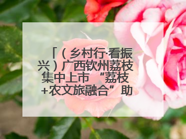 （乡村行·看振兴）广西钦州荔枝集中上市 “荔枝+农文旅融合”助农增收