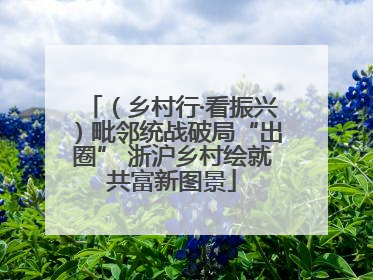 （乡村行·看振兴）毗邻统战破局“出圈” 浙沪乡村绘就共富新图景