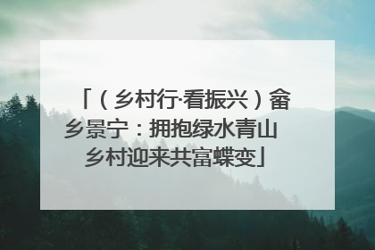 （乡村行·看振兴）畲乡景宁：拥抱绿水青山 乡村迎来共富蝶变