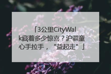 3公里CityWalk藏着多少惊喜？沪疆童心手拉手，“益起走”