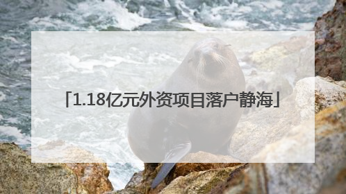 1.18亿元外资项目落户静海