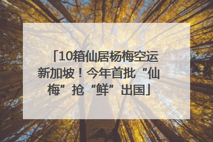 10箱仙居杨梅空运新加坡！今年首批“仙梅”抢“鲜”出国