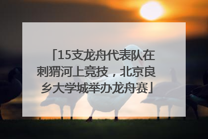 15支龙舟代表队在刺猬河上竞技，北京良乡大学城举办龙舟赛