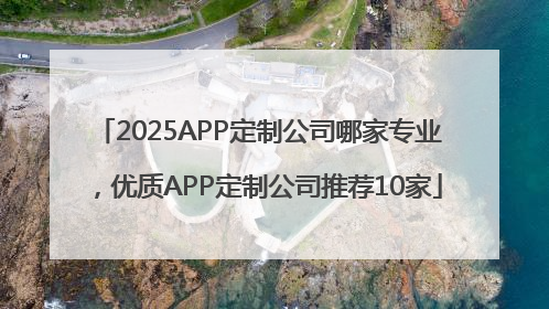 2025APP定制公司哪家专业，优质APP定制公司推荐10家