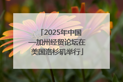 2025年中国—加州经贸论坛在美国洛杉矶举行