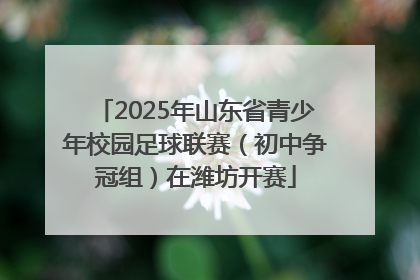 2025年山东省青少年校园足球联赛（初中争冠组）在潍坊开赛