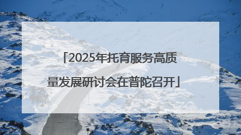 2025年托育服务高质量发展研讨会在普陀召开