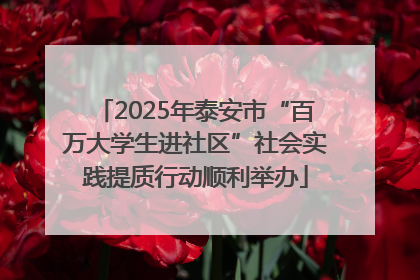 2025年泰安市“百万大学生进社区”社会实践提质行动顺利举办