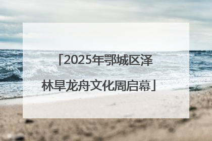 2025年鄂城区泽林旱龙舟文化周启幕