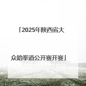 2025年陕西省大众跆拳道公开赛开赛