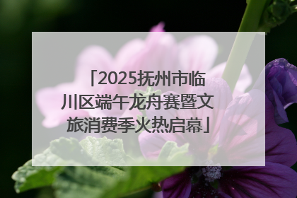 2025抚州市临川区端午龙舟赛暨文旅消费季火热启幕