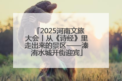 2025河南文旅大会丨从《诗经》里走出来的景区——溱洧水城开街迎宾