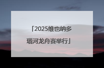 2025维也纳多瑙河龙舟赛举行