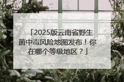 2025版云南省野生菌中毒风险地图发布！你在哪个等级地区？