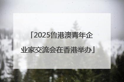 2025鲁港澳青年企业家交流会在香港举办