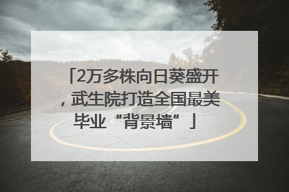 2万多株向日葵盛开，武生院打造全国最美毕业“背景墙”