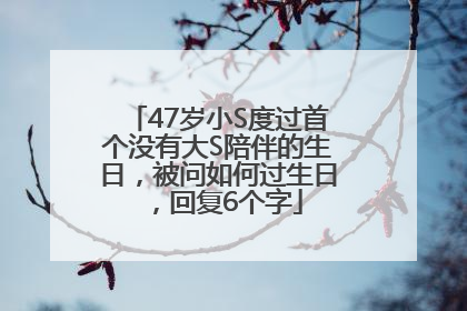 47岁小S度过首个没有大S陪伴的生日，被问如何过生日，回复6个字