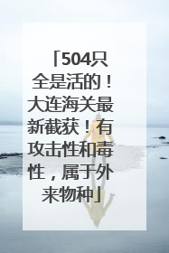 504只全是活的！大连海关最新截获！有攻击性和毒性，属于外来物种
