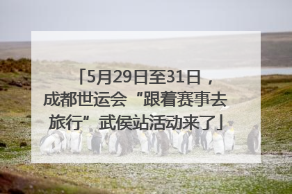 5月29日至31日，成都世运会“跟着赛事去旅行”武侯站活动来了