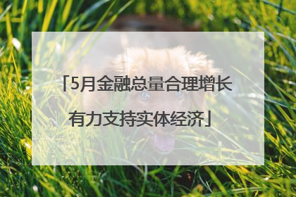 5月金融总量合理增长 有力支持实体经济