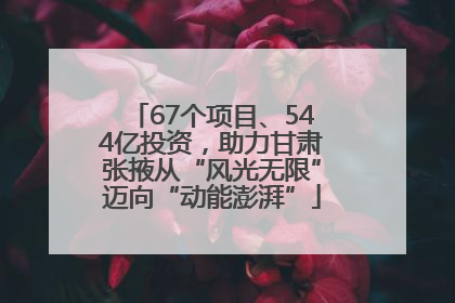 67个项目、544亿投资，助力甘肃张掖从“风光无限”迈向“动能澎湃”