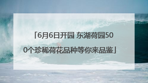 6月6日开园 东湖荷园500个珍稀荷花品种等你来品鉴