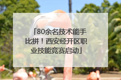 80余名技术能手比拼！西安经开区职业技能竞赛启动