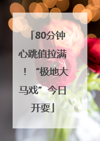 80分钟心跳值拉满！“极地大马戏”今日开耍