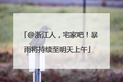 @浙江人，宅家吧！暴雨将持续至明天上午