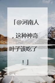 @河南人，这种神奇叶子该吃了！