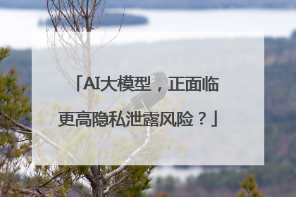 AI大模型，正面临更高隐私泄露风险？