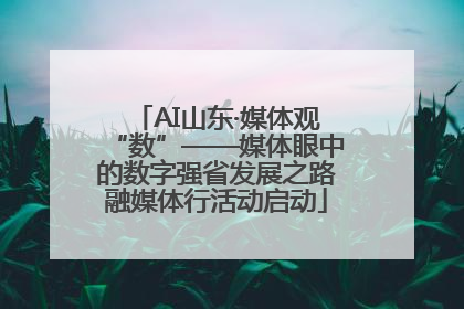 AI山东·媒体观“数”——媒体眼中的数字强省发展之路融媒体行活动启动