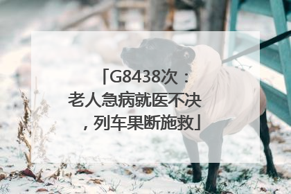 G8438次：老人急病就医不决，列车果断施救