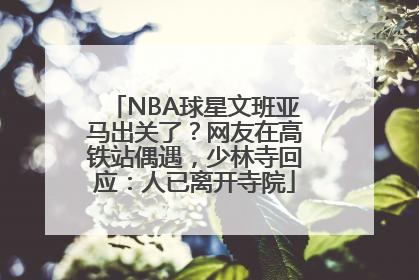 NBA球星文班亚马出关了？网友在高铁站偶遇，少林寺回应：人已离开寺院