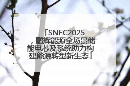 SNEC2025，鹏辉能源全场景储能电芯及系统助力构建能源转型新生态