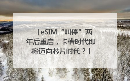 eSIM“叫停”两年后重启，卡槽时代即将迈向芯片时代？